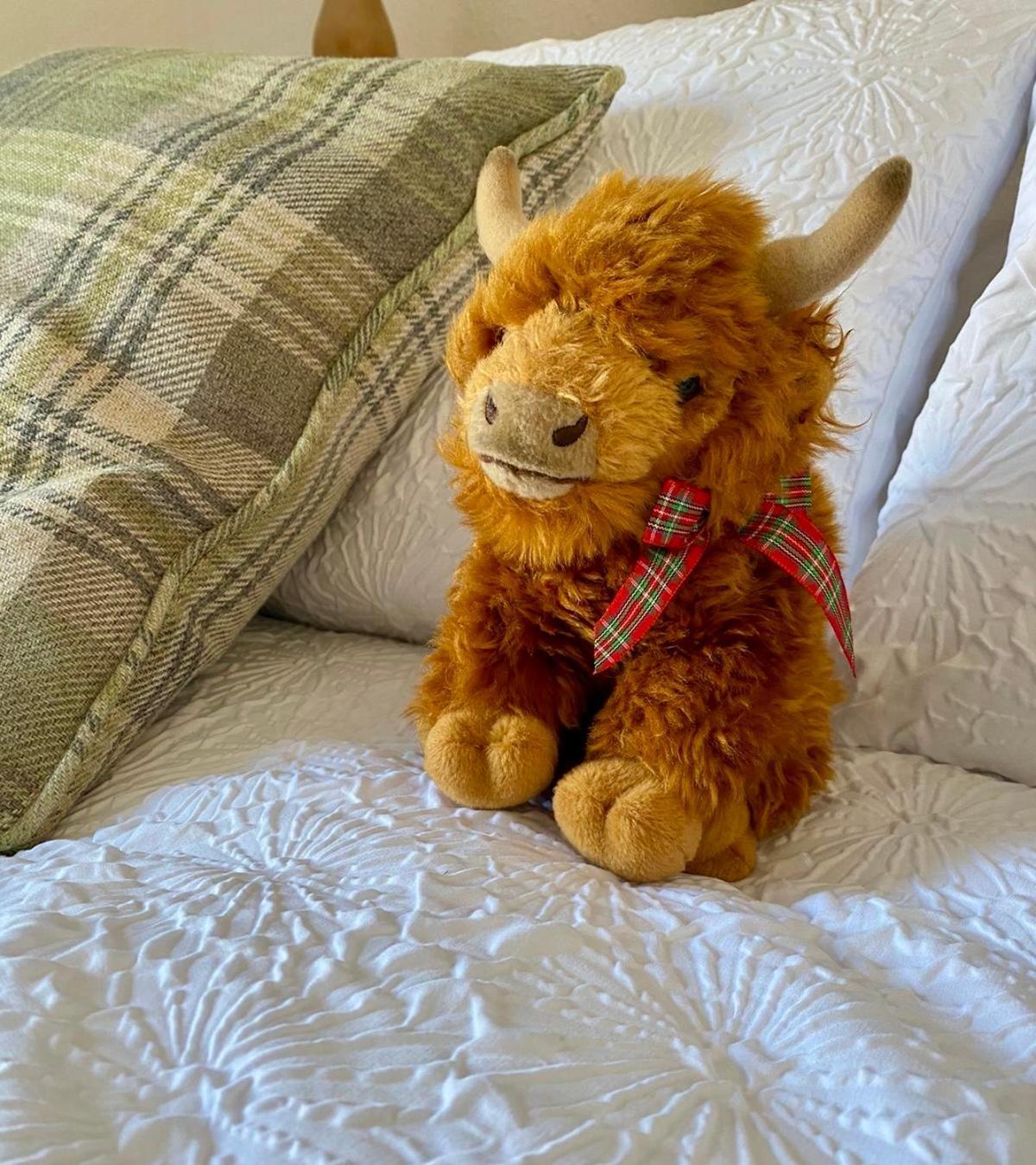 Bruachdryne Braemar Accommodation 外观 照片